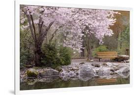 Spring Scenic in Lithia Park, Ashland, Oregon, USA-Jaynes Gallery-Framed Photographic Print