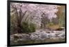 Spring Scenic in Lithia Park, Ashland, Oregon, USA-Jaynes Gallery-Framed Photographic Print