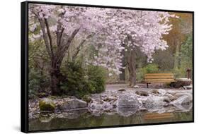 Spring Scenic in Lithia Park, Ashland, Oregon, USA-Jaynes Gallery-Framed Stretched Canvas