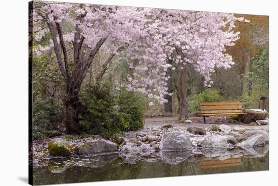 Spring Scenic in Lithia Park, Ashland, Oregon, USA-Jaynes Gallery-Stretched Canvas