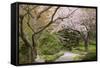 Spring Scenic in Lithia Park, Ashland, Oregon, USA-Jaynes Gallery-Framed Stretched Canvas