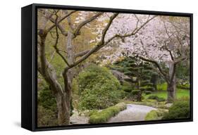 Spring Scenic in Lithia Park, Ashland, Oregon, USA-Jaynes Gallery-Framed Stretched Canvas