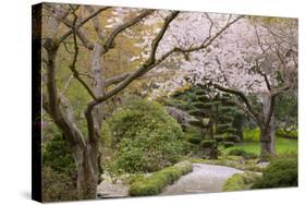 Spring Scenic in Lithia Park, Ashland, Oregon, USA-Jaynes Gallery-Stretched Canvas