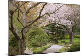 Spring Scenic in Lithia Park, Ashland, Oregon, USA-Jaynes Gallery-Mounted Photographic Print