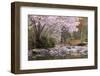 Spring Scenic in Lithia Park, Ashland, Oregon, USA-Jaynes Gallery-Framed Photographic Print