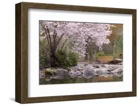 Spring Scenic in Lithia Park, Ashland, Oregon, USA-Jaynes Gallery-Framed Photographic Print