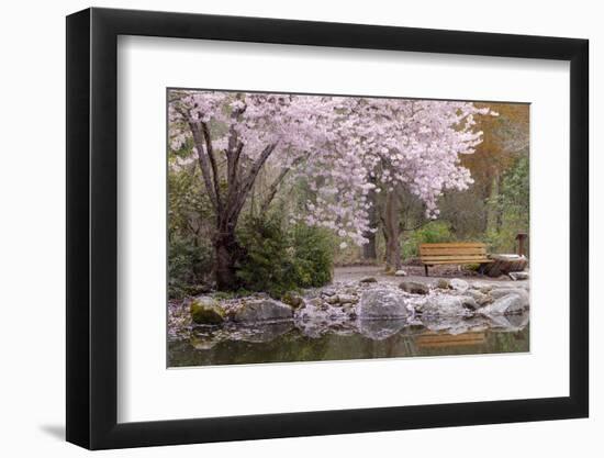 Spring Scenic in Lithia Park, Ashland, Oregon, USA-Jaynes Gallery-Framed Photographic Print