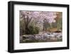 Spring Scenic in Lithia Park, Ashland, Oregon, USA-Jaynes Gallery-Framed Photographic Print