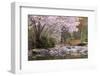 Spring Scenic in Lithia Park, Ashland, Oregon, USA-Jaynes Gallery-Framed Photographic Print