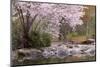 Spring Scenic in Lithia Park, Ashland, Oregon, USA-Jaynes Gallery-Mounted Photographic Print