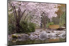 Spring Scenic in Lithia Park, Ashland, Oregon, USA-Jaynes Gallery-Mounted Photographic Print