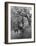 Spring Scouts-null-Framed Photographic Print