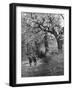 Spring Scouts-null-Framed Photographic Print