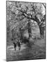 Spring Scouts-null-Mounted Photographic Print