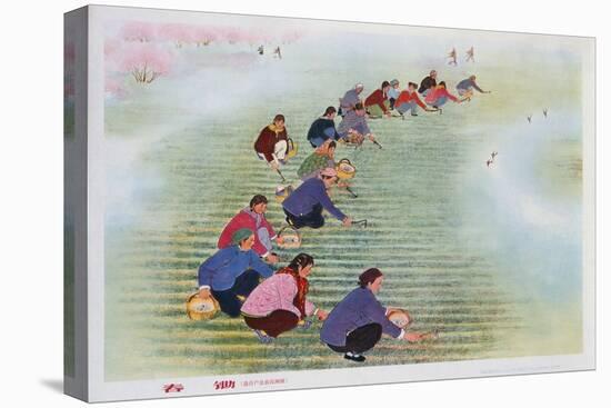 Spring Scything, 1974 (Colour Litho)-Chinese-Stretched Canvas