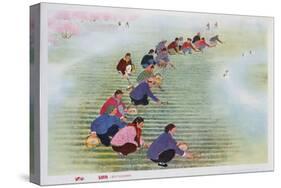 Spring Scything, 1974 (Colour Litho)-Chinese-Stretched Canvas