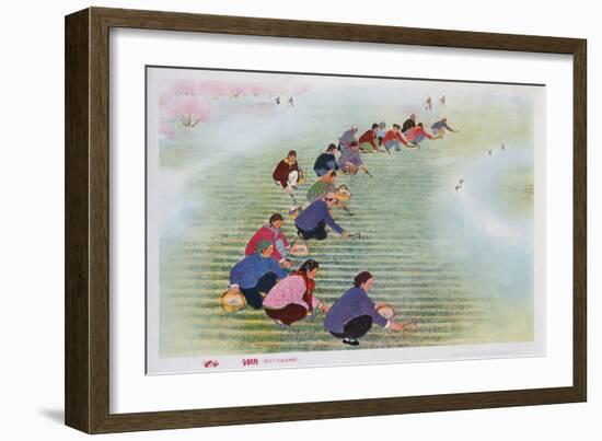 Spring Scything, 1974 (Colour Litho)-Chinese-Framed Giclee Print