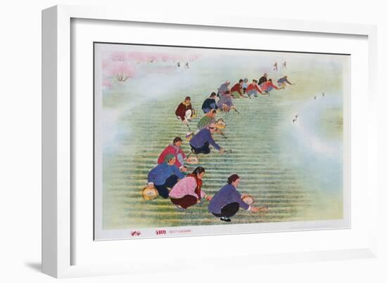Spring Scything, 1974 (Colour Litho)-Chinese-Framed Giclee Print