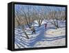 Spring Snow, Newhaven Derbyshire, 2008-Andrew Macara-Framed Stretched Canvas