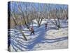 Spring Snow, Newhaven Derbyshire, 2008-Andrew Macara-Stretched Canvas