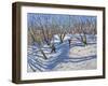 Spring Snow, Newhaven Derbyshire, 2008-Andrew Macara-Framed Giclee Print
