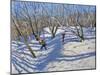 Spring Snow, Newhaven Derbyshire, 2008-Andrew Macara-Mounted Giclee Print