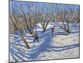 Spring Snow, Newhaven Derbyshire, 2008-Andrew Macara-Mounted Giclee Print