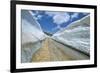 Spring Snow on Road Crossing the Mount Lebanon Range Near Bcharre, Lebanon, Middle East-Gavin Hellier-Framed Photographic Print