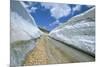 Spring Snow on Road Crossing the Mount Lebanon Range Near Bcharre, Lebanon, Middle East-Gavin Hellier-Mounted Photographic Print