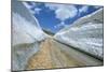 Spring Snow on Road Crossing the Mount Lebanon Range Near Bcharre, Lebanon, Middle East-Gavin Hellier-Mounted Photographic Print