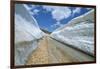 Spring Snow on Road Crossing the Mount Lebanon Range Near Bcharre, Lebanon, Middle East-Gavin Hellier-Framed Photographic Print