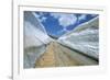 Spring Snow on Road Crossing the Mount Lebanon Range Near Bcharre, Lebanon, Middle East-Gavin Hellier-Framed Photographic Print