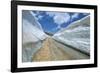 Spring Snow on Road Crossing the Mount Lebanon Range Near Bcharre, Lebanon, Middle East-Gavin Hellier-Framed Photographic Print