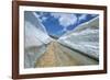 Spring Snow on Road Crossing the Mount Lebanon Range Near Bcharre, Lebanon, Middle East-Gavin Hellier-Framed Photographic Print