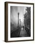 Spring Snow-David Senechal Photographie-Framed Photographic Print