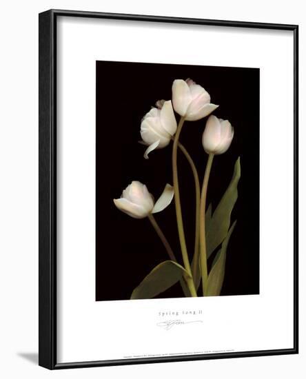 Spring Song II-S^ G^ Rose-Lamina Framed Art Print