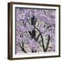 Spring Song II-Helena Alves-Framed Art Print