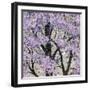 Spring Song II-Helena Alves-Framed Art Print