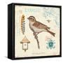 Spring Songbird-Christopher James-Framed Stretched Canvas