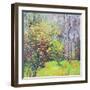 Spring Sparkle-Sylvia Paul-Framed Giclee Print