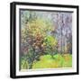 Spring Sparkle-Sylvia Paul-Framed Giclee Print