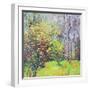 Spring Sparkle-Sylvia Paul-Framed Giclee Print