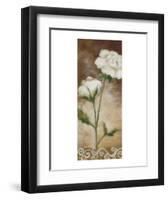 Spring Splendor-Onan Balin-Framed Art Print