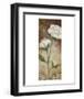 Spring Splendor-Onan Balin-Framed Art Print