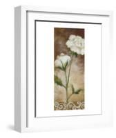 Spring Splendor-Onan Balin-Framed Art Print