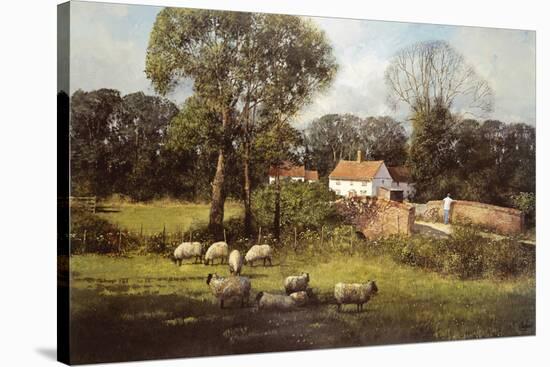 Spring Splendour-Clive Madgwick-Stretched Canvas