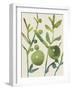 Spring Sprig I-Chariklia Zarris-Framed Art Print