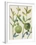 Spring Sprig I-Chariklia Zarris-Framed Art Print