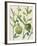 Spring Sprig I-Chariklia Zarris-Framed Art Print