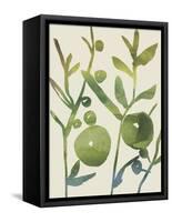 Spring Sprig I-Chariklia Zarris-Framed Stretched Canvas